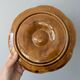 Set of 3 vintage brown Sarreguemines majolica oyster plates.
