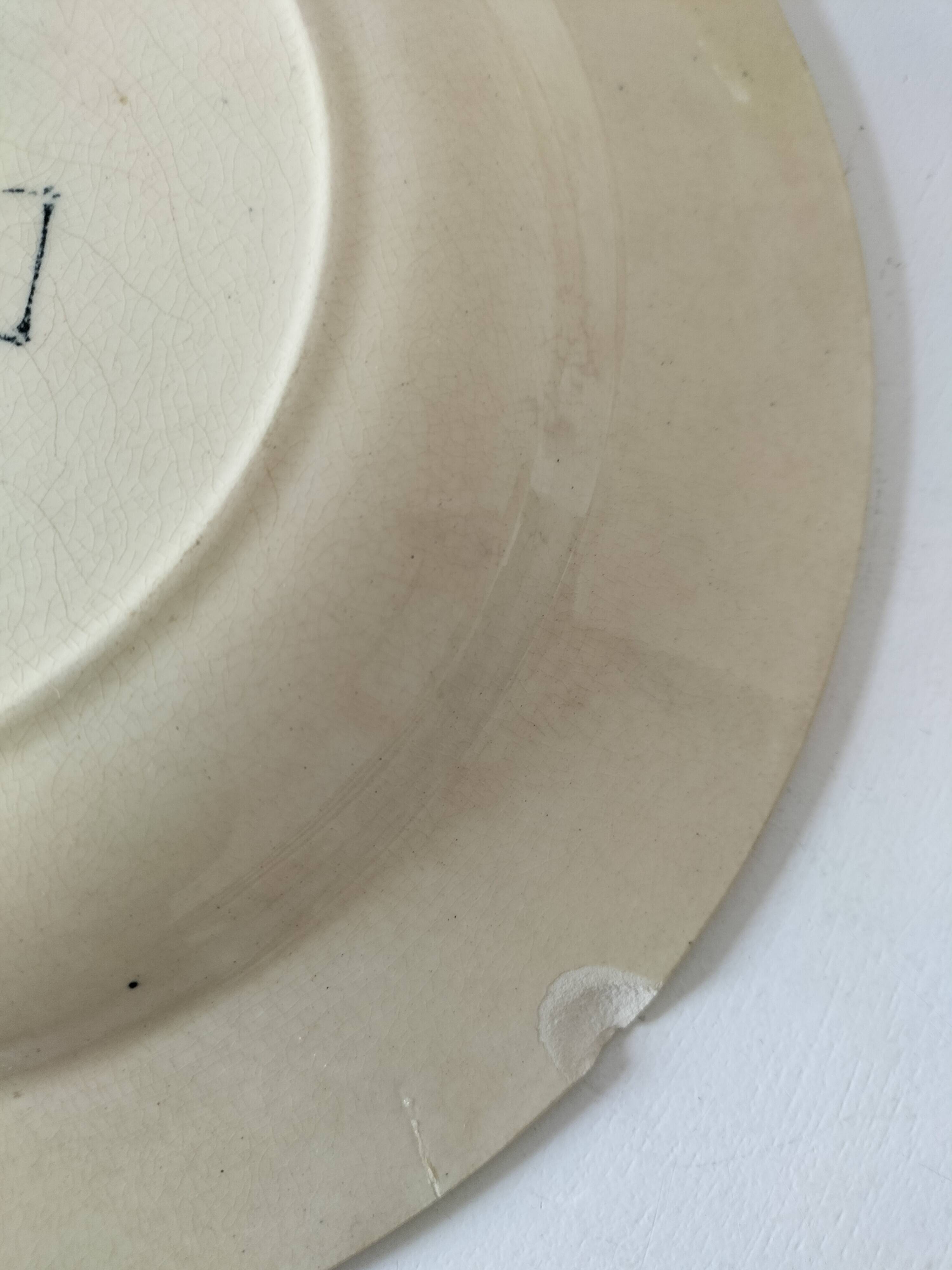 6 old E.C. Salins “Les Épis” ironstone soup plates
