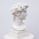 Head David in white plaster Roman Greek sculpture