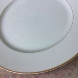 Nitto Hawthorne Japan plates - prestige tableware