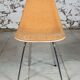 Chaise DSX Eames pour Herman Miller, 1960