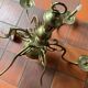 Lustre style hollandais laiton