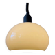 Vintage beige mushroom suspension in acrylic glass
