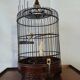 Cage Asia