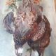 Tableau nature morte
