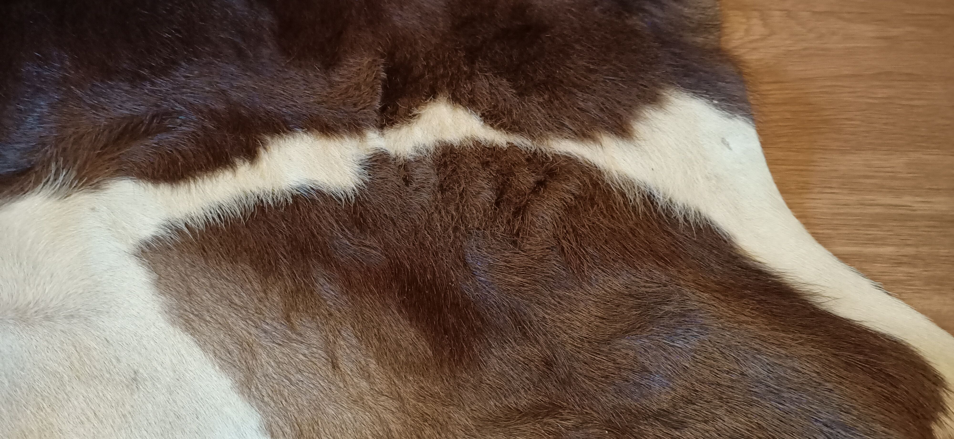 Vintage cow skin carpet, 140 cm x146 cm