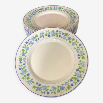 Arcopal flat flowery plates