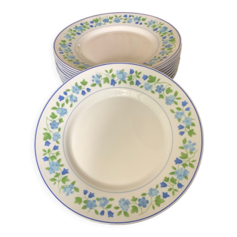 Assiettes plates fleuries arcopal