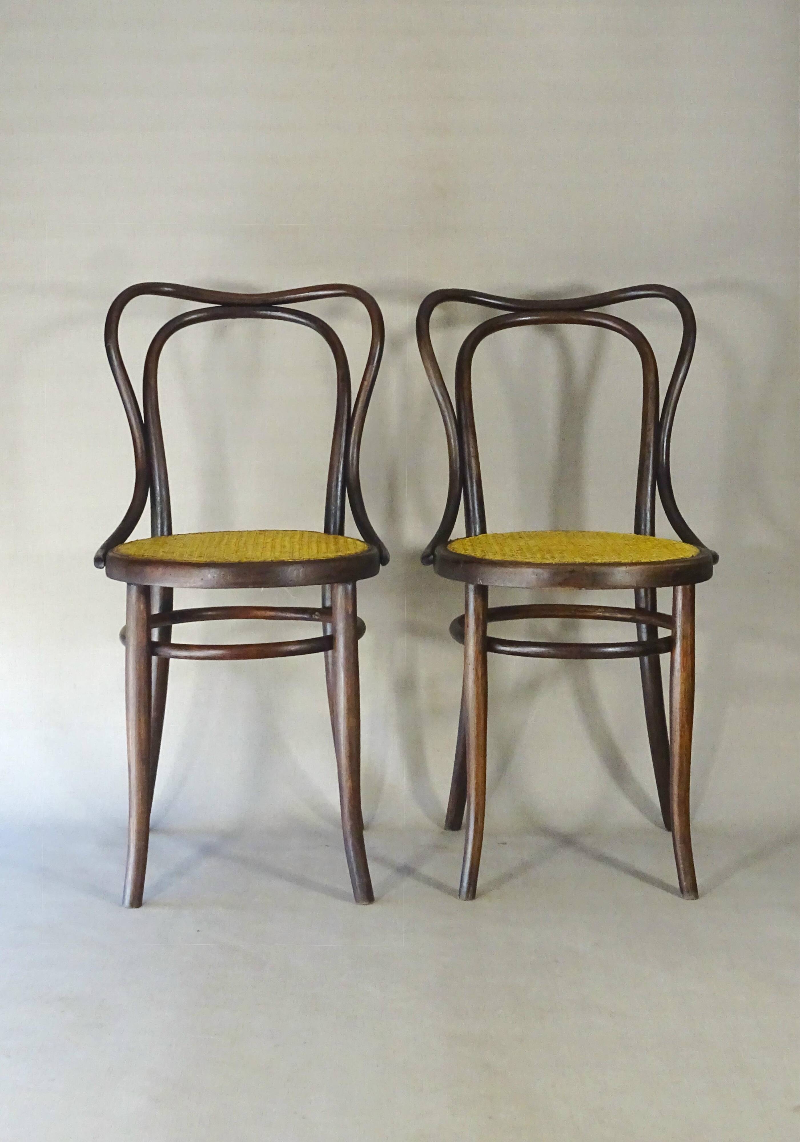 Deux chaises KOHN N°55 de Ca. 1900 cannées, teinte acajou américain.
