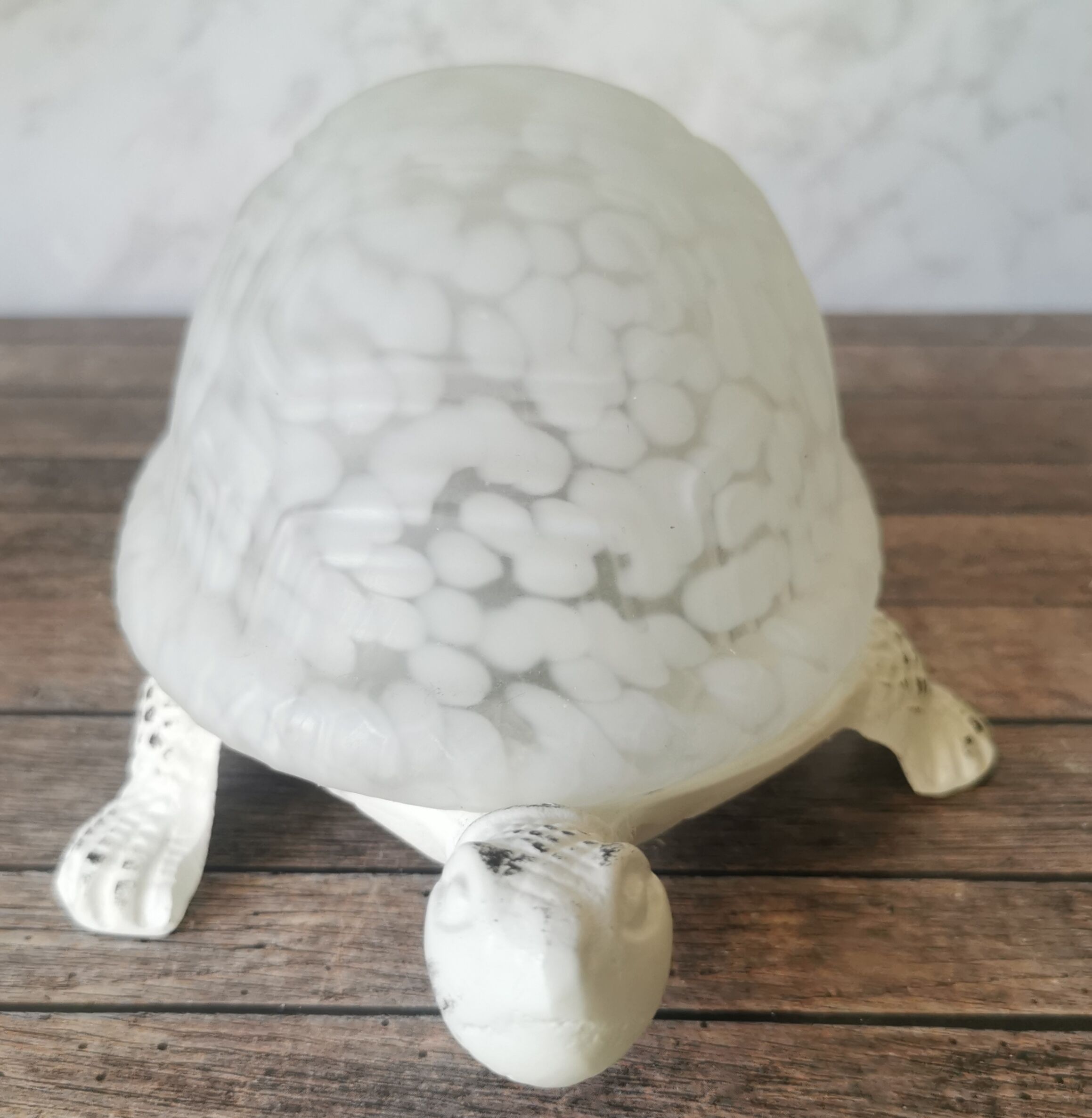 Turtle lamp