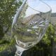 6 crystal white wine glasses from ARQUES. Epi Fleury model.