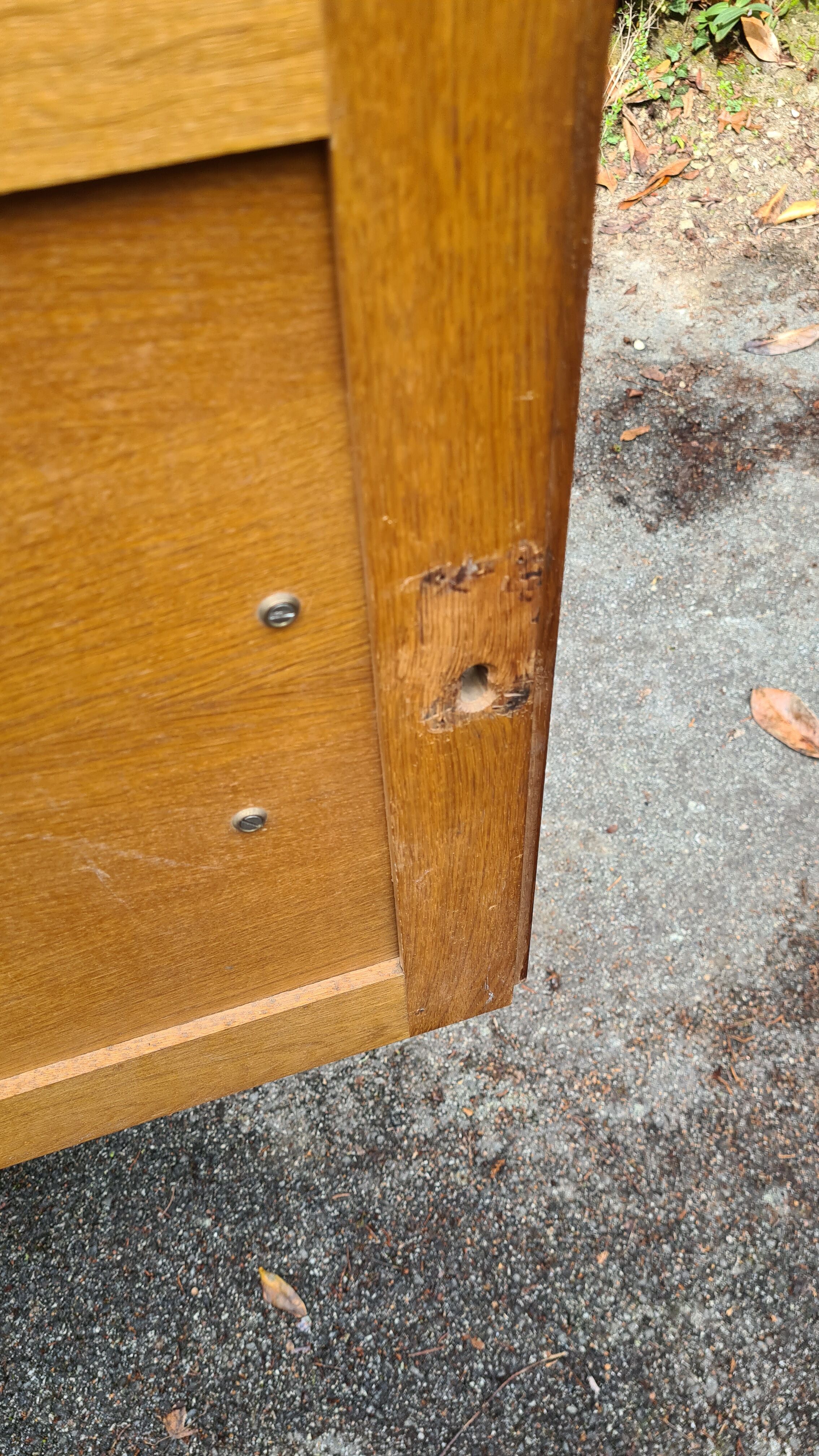 Buffet feet compass 60s