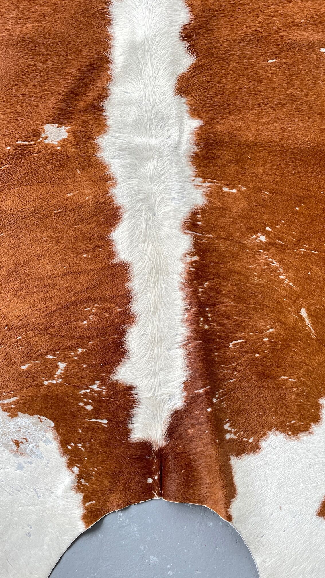 Caramel cowhide carpet