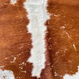 Caramel cowhide carpet