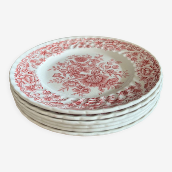 6 ancient plates english ceramic