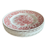 6 assiettes anciennes céramique anglaise