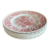 6 assiettes anciennes céramique anglaise