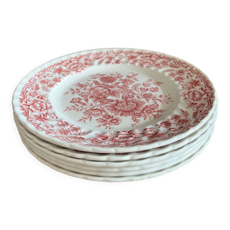 6 ancient plates english ceramic