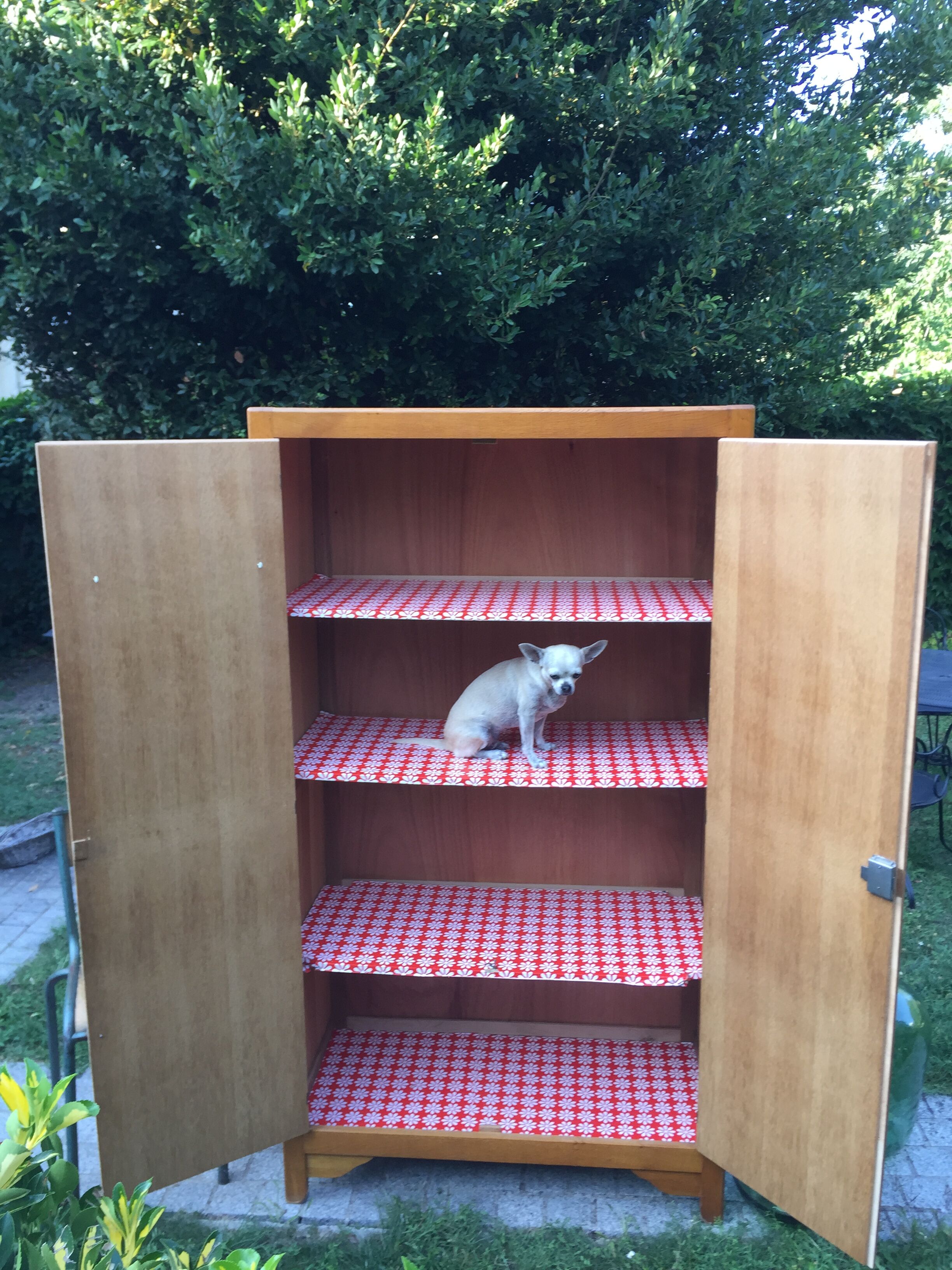 School vintage 1950 in blond oak wardrobe