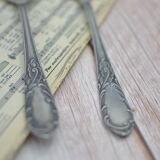 Old salad cutlery, made of metal, in their Amefa case