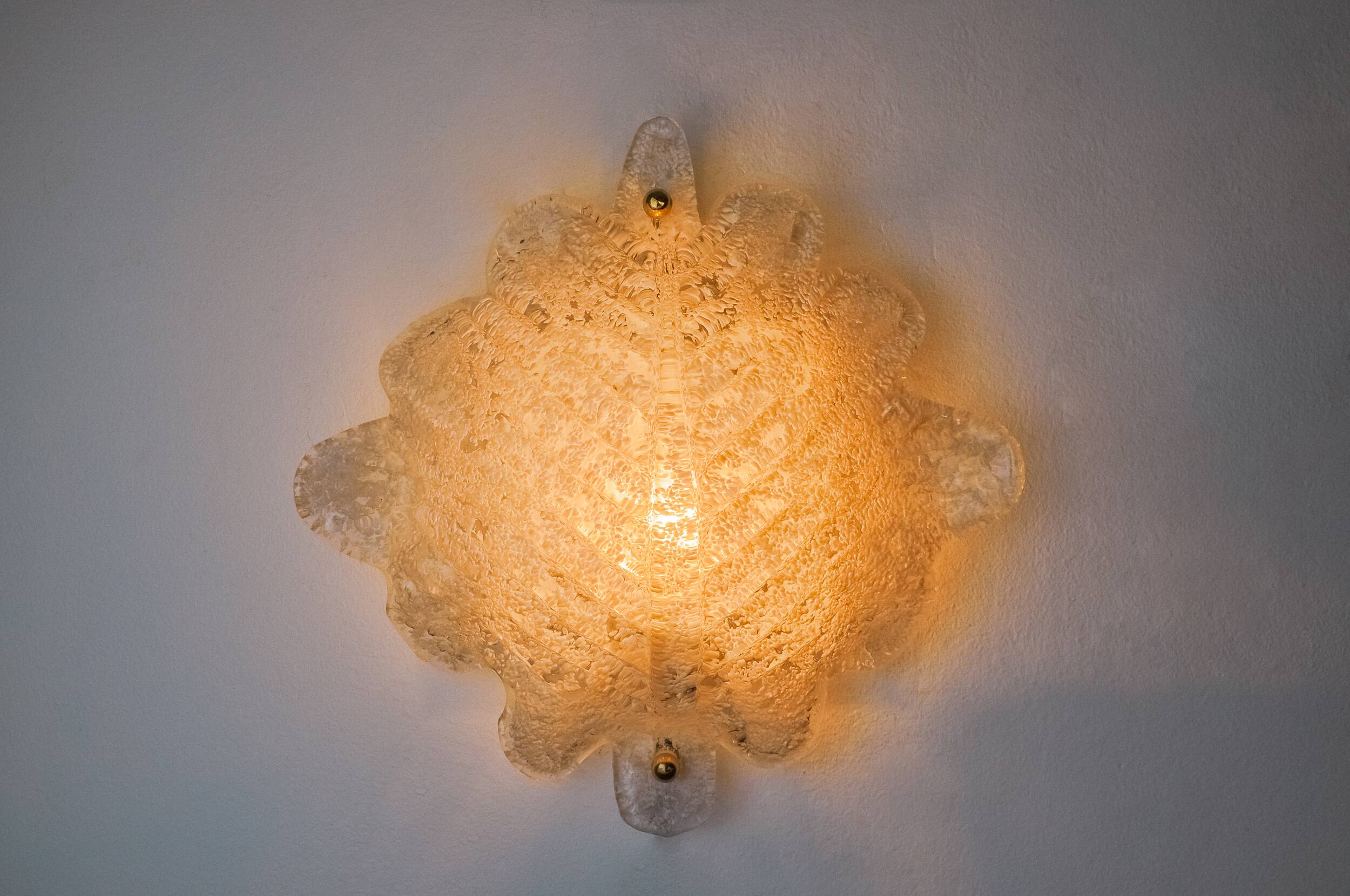 XL frosted leaf wall light, Murano glass, Italy, 1970