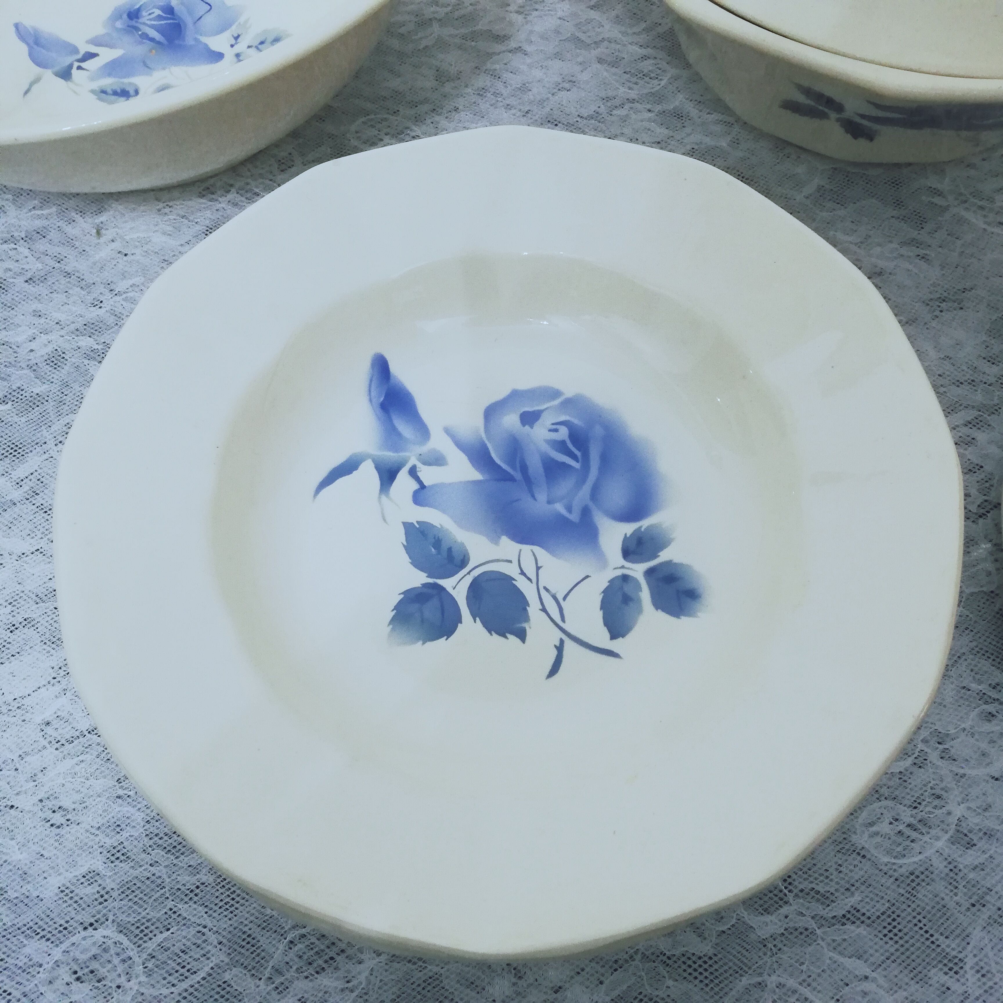 Service 24 pieces in iron earth Digoin Sarreguemines