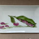 Small botanical porcelain tray hand-painted – bean design