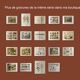 3 Engravings from 1909 - So-called "harmful" insects - Old entomological plates
