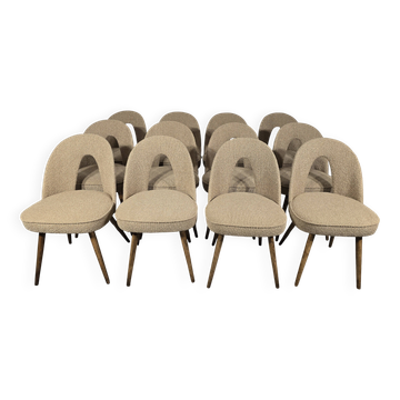 Vintage Dining Chairs by Antonin Suman, 1960s, Set of 12