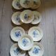 11 old Digoin and Sarreguemines plates