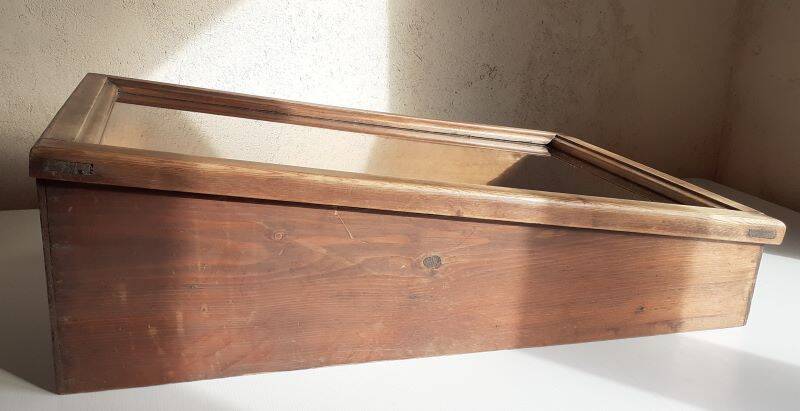 Old sloping pine display case