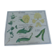 Planche de botanique