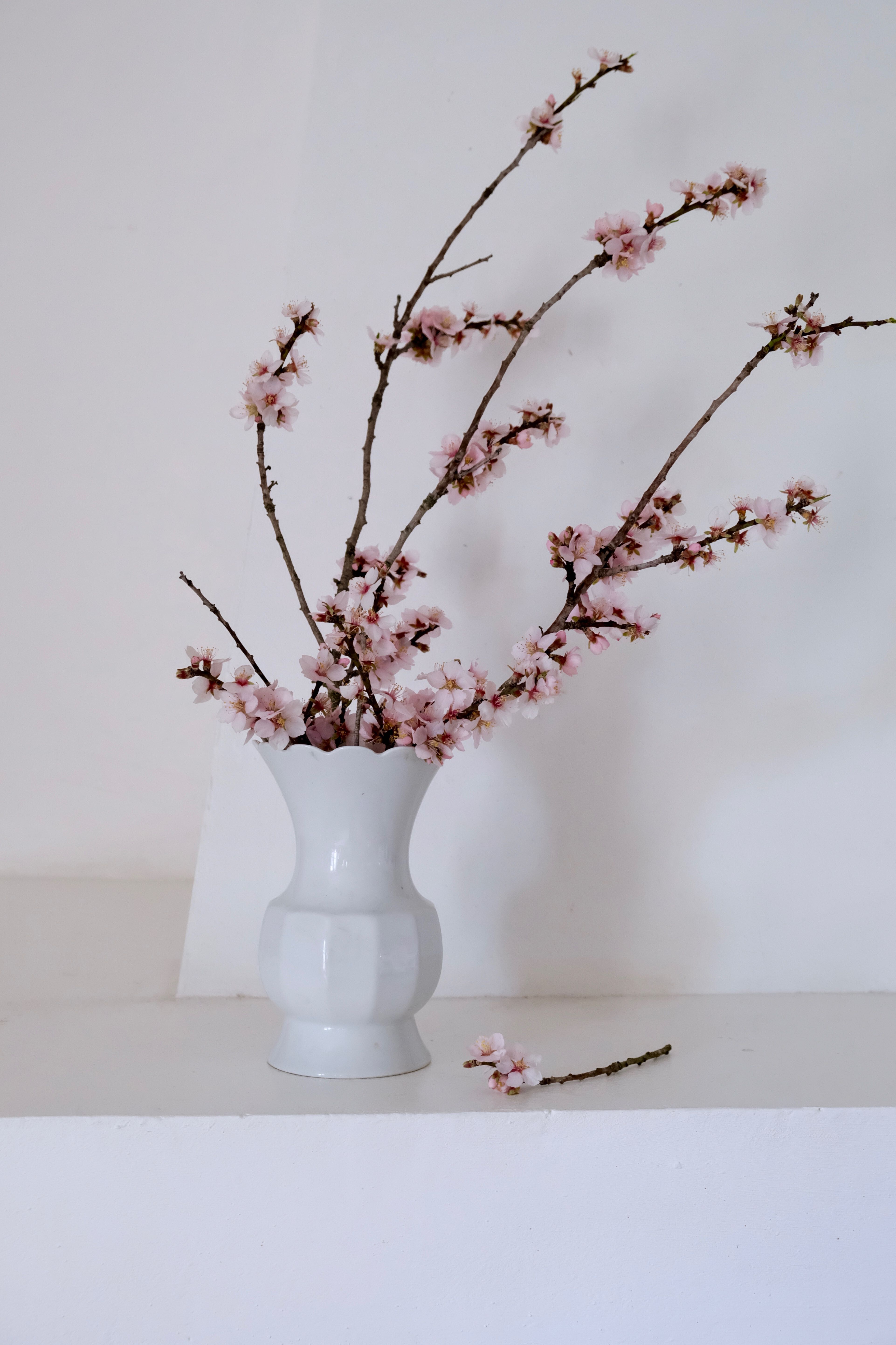 White vase Bareuther Waldsassen 50s