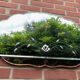 Miroir biseauté art-déco