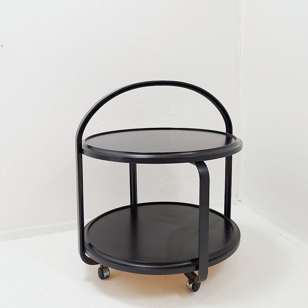 Mid-century blackened ash drinks cabinet - 20th century