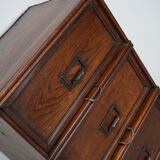 Belgian oak apothecary / filing cabinet folding doors, 1920/30s