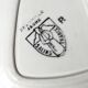 5 Salins Deauville dishes 1960 French design