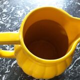 Yellow pitcher Orchies