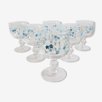 6 Myosotis glasses