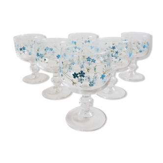 6 Myosotis glasses