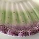 6 asparagus plates