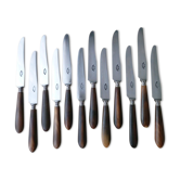 Coffret de 12 couteaux à fromage anciens Inox et corne bovine 202