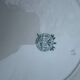 6 Villeroy and Boch dessert plates
