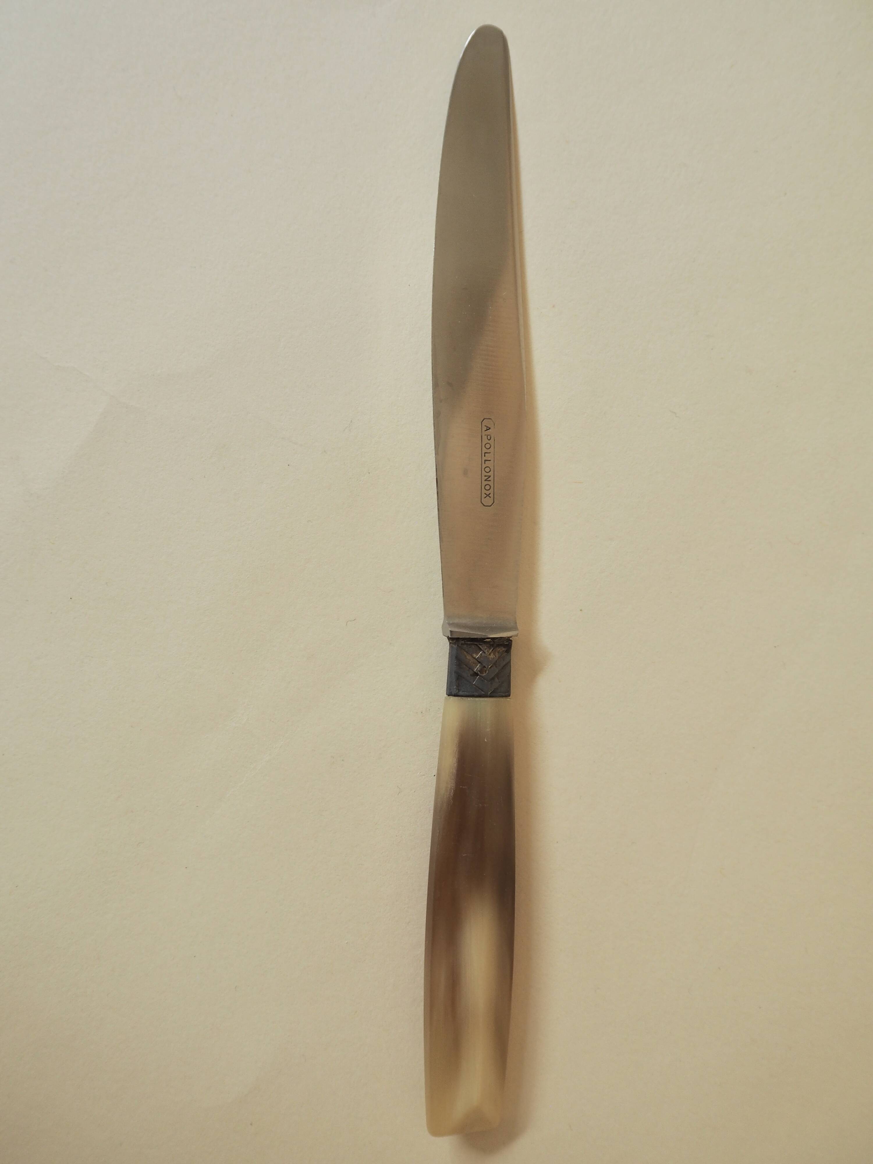 Set of 12 dessert knives Apollonox