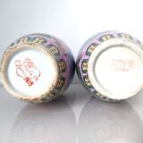 Pair of flowered Chinese vases
