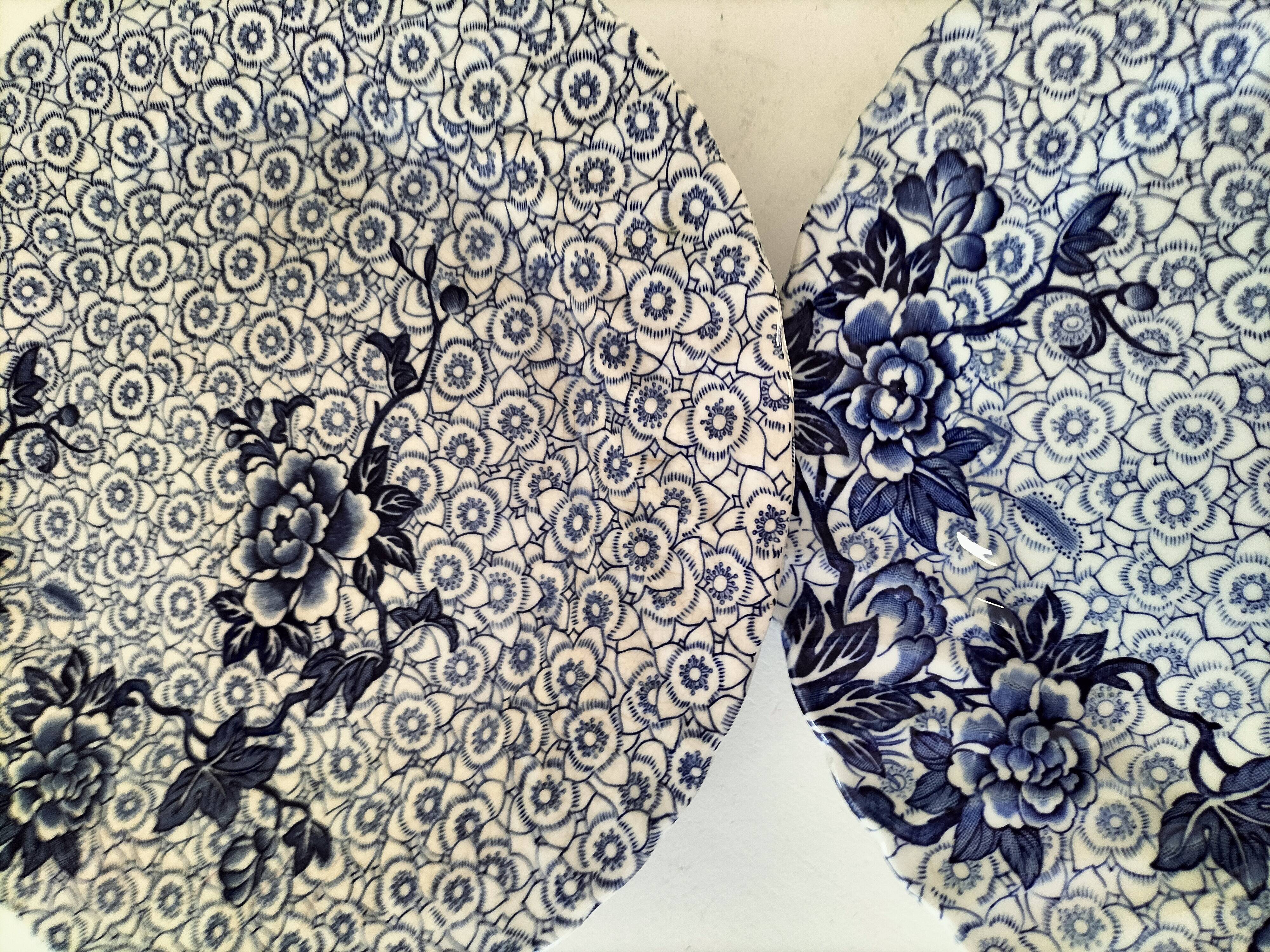 9 Johnson Brothers plates in the Lotus pattern.