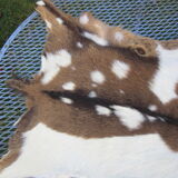 Goat skin