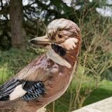 Porcelain bird