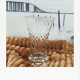Lined crystal vase