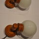 Duo of wooden wall light and glass globes